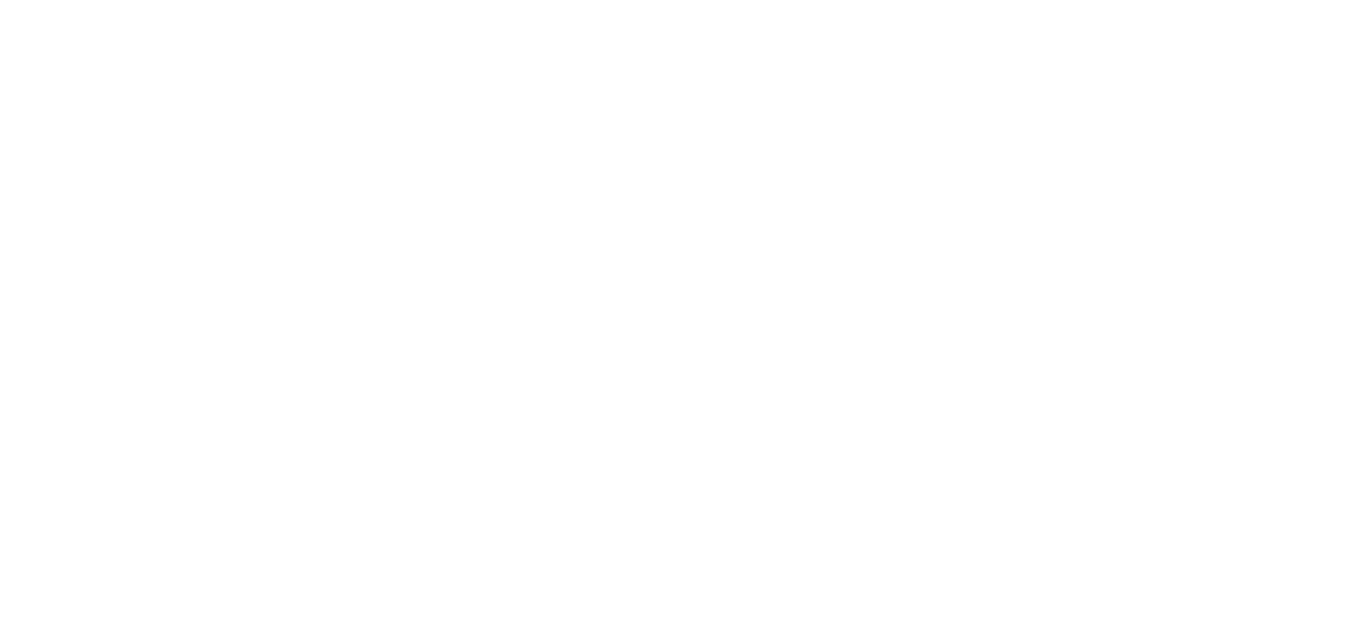 WaschGold Professional system seit 1875